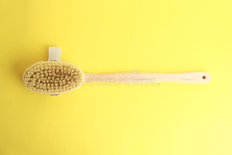 Top View of the Shower Brush for the Back Stock Photo Image of brush