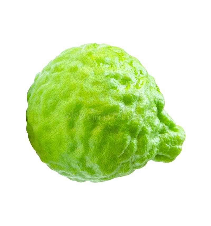Top view of single fresh bergamot fruit or kaffir lime isolated on white background with clipping path royalty free stock image