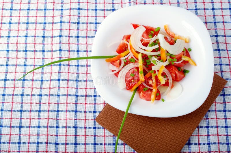 Top view of a small portion of vegetarian salad from fresh tomatoes stock photo Top view of a small portion of vegetarian salad from fresh tomatoes stock photo