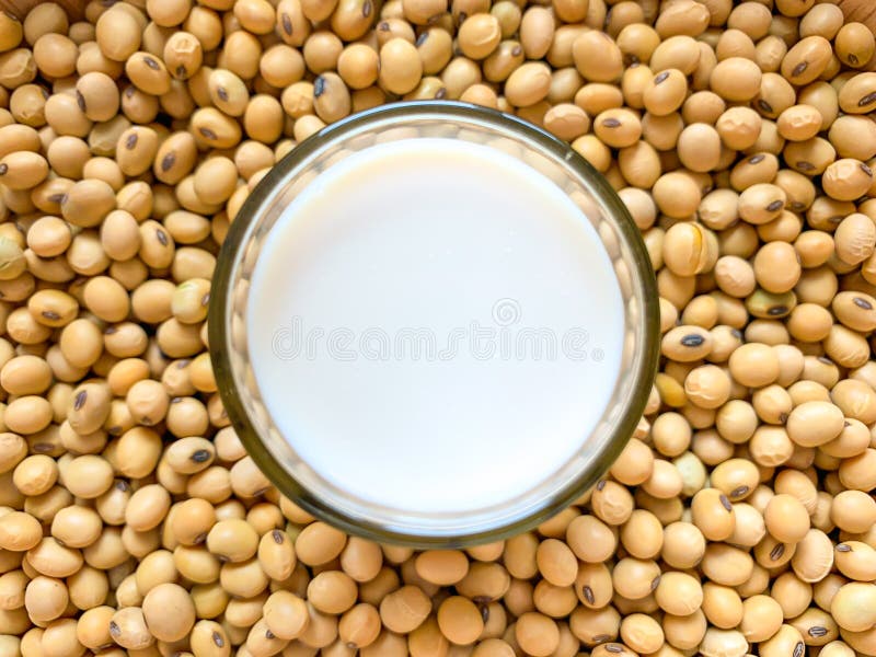 Top view of soymilk glass is placed on a lot of soybean piles royalty free stock photo Top view of soymilk glass is placed on a lot of soybean piles royalty free stock photo