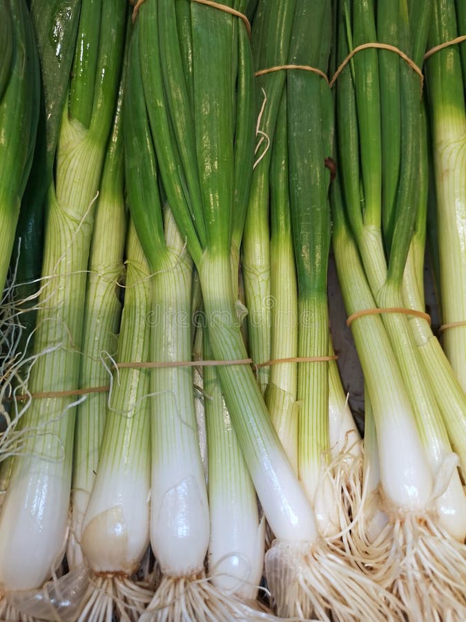 Top View of Spring Onions on Sale in the Market Stock Image Image of