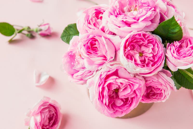 Top view tender pink tea roses bouquet in vintage pot on the pink background. Postcard mock up. Summer, spring flowers. Flat lay. stock image Top view tender pink tea roses bouquet in vintage pot on the pink background. Postcard mock up. Summer, spring flowers. Flat lay. stock image