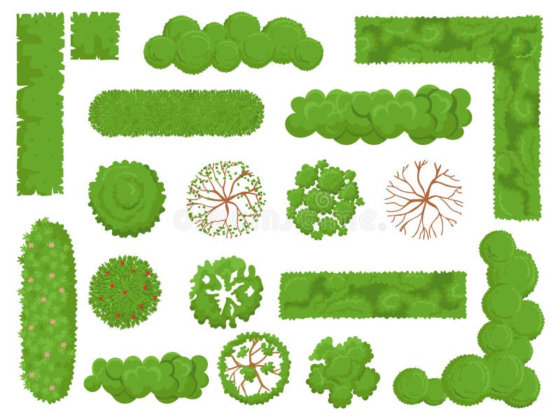 Top view trees and bushes. Forest tree, green park bush and plant map elements look from above isolated vector set