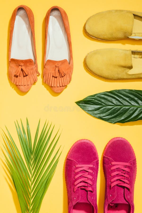 Top View of Tropical Leaves and Stylish Female Shoes Stock Image ...