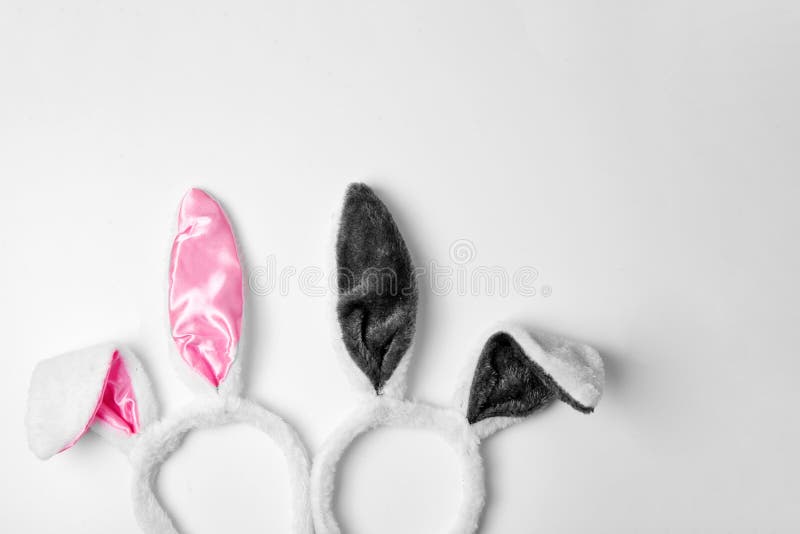 Top view of two rabbit ears on white background pink and couple love holiday easter concept copy space