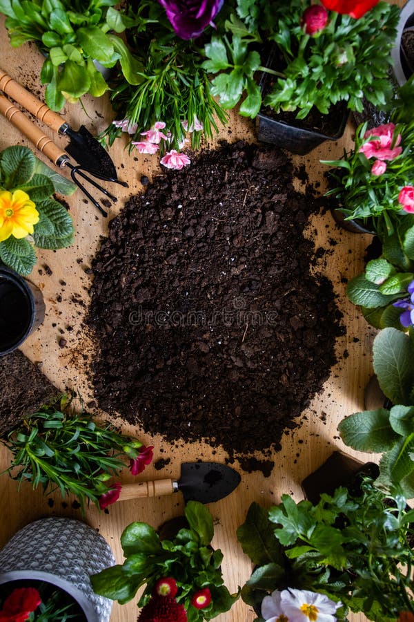 Top View of Various Flowers in Pots Stand Around the Soil Stock Image Image of rustic, table