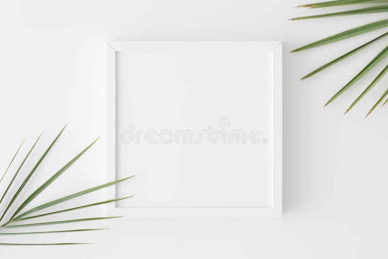 https://thumbs.dreamstime.com/b/top-view-white-square-frame-mockup-palm-leaf-decoration-192080195.jpg
