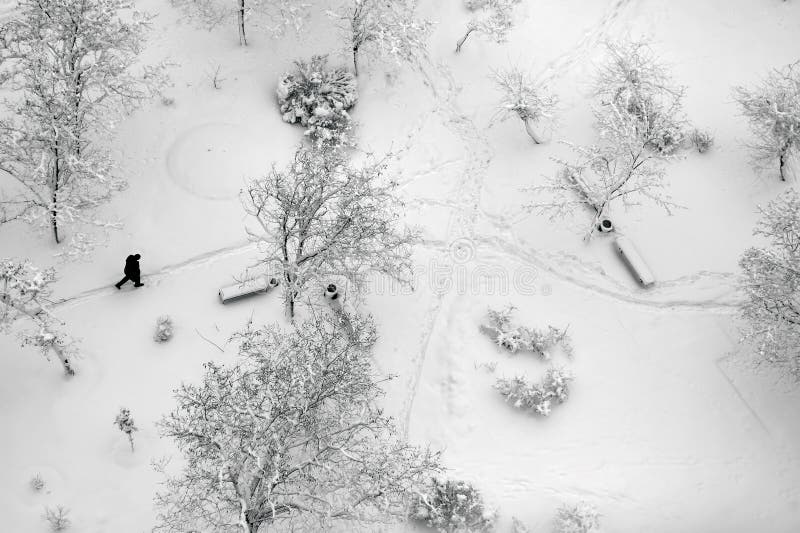 Top view on a winter park covered with snow.