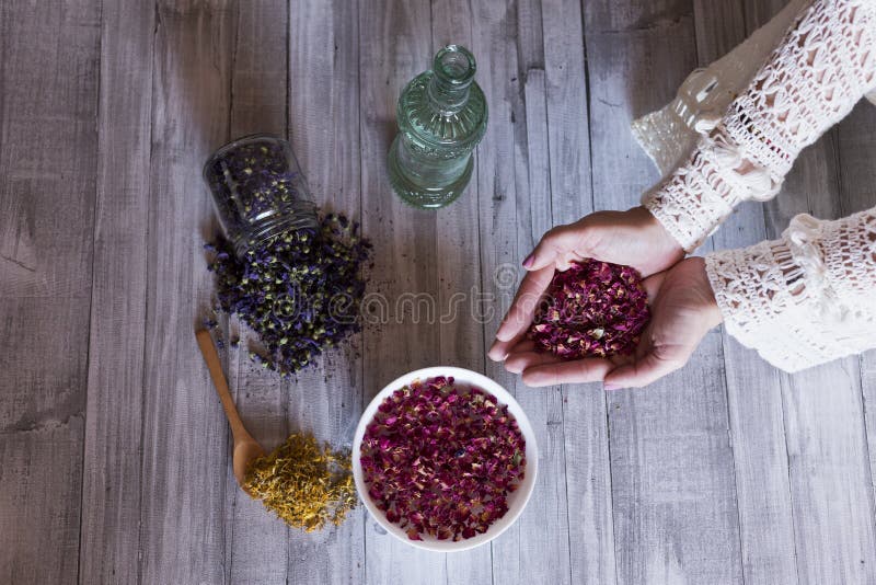 Top view of woman hands holding dried roses leaves. Healthy lifestyle concept. Indoors. Grey wood table background. Yellow royalty free stock photo Top view of woman hands holding dried roses leaves. Healthy lifestyle concept. Indoors. Grey wood table background. Yellow royalty free stock photo
