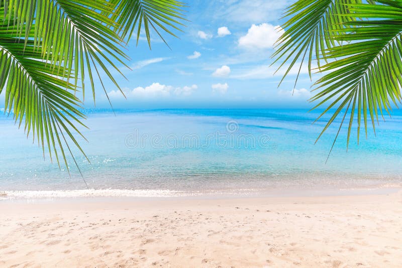 Top of wood table with seascape and palm leaves, blur bokeh light of calm sea and sky at tropical beach background.blurred blue