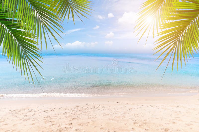 Top of wood table with seascape and palm leaves, blur bokeh light of calm sea and sky at tropical beach background.blurred blue