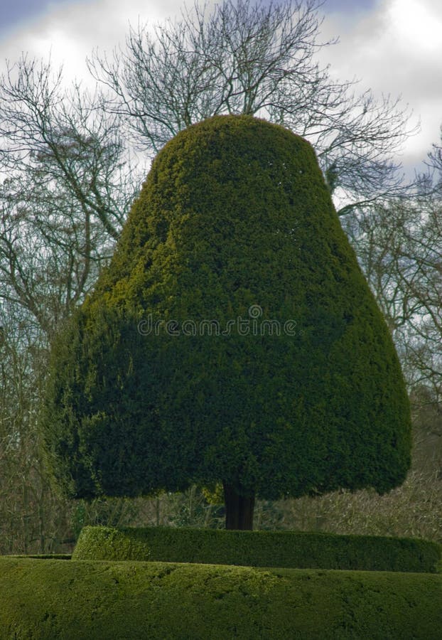 Topiary