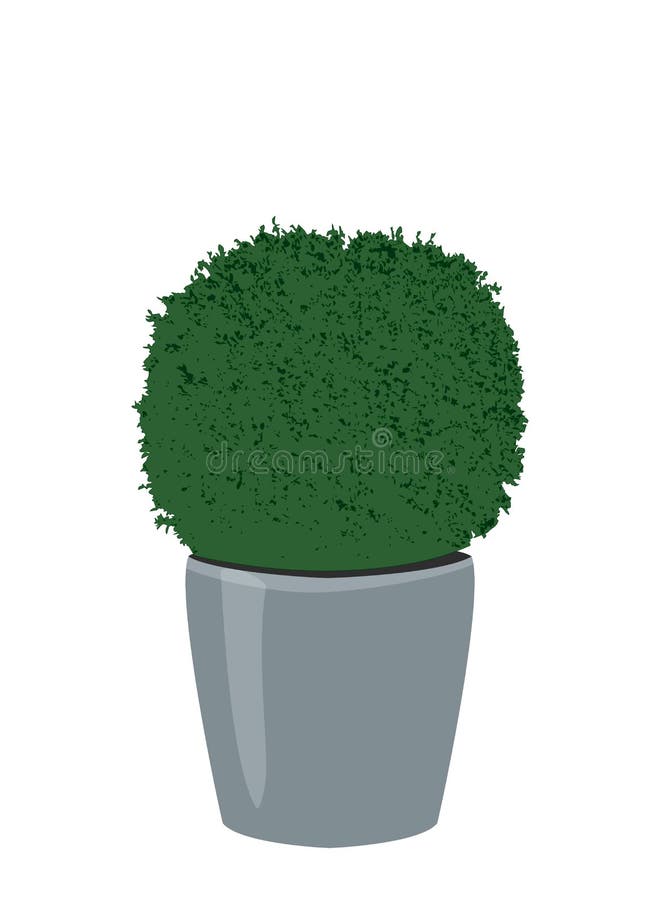 Topiary bukshoutboom in bloempot, vectoreps 10 royalty-vrije illustratie Topiary bukshoutboom in bloempot, vectoreps 10 royalty-vrije illustratie