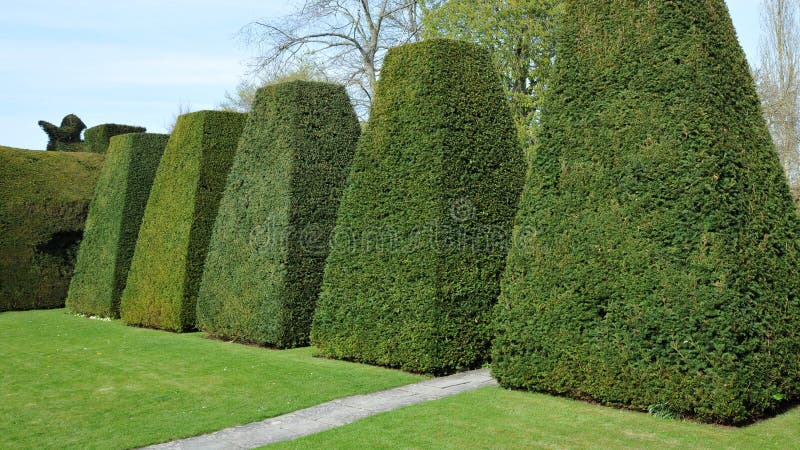 Topiary del jardín foto de archivo libre de regalías Topiary del jardín foto de archivo libre de regalías