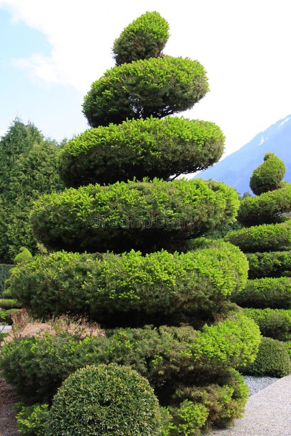 Topiary imperecedero grande