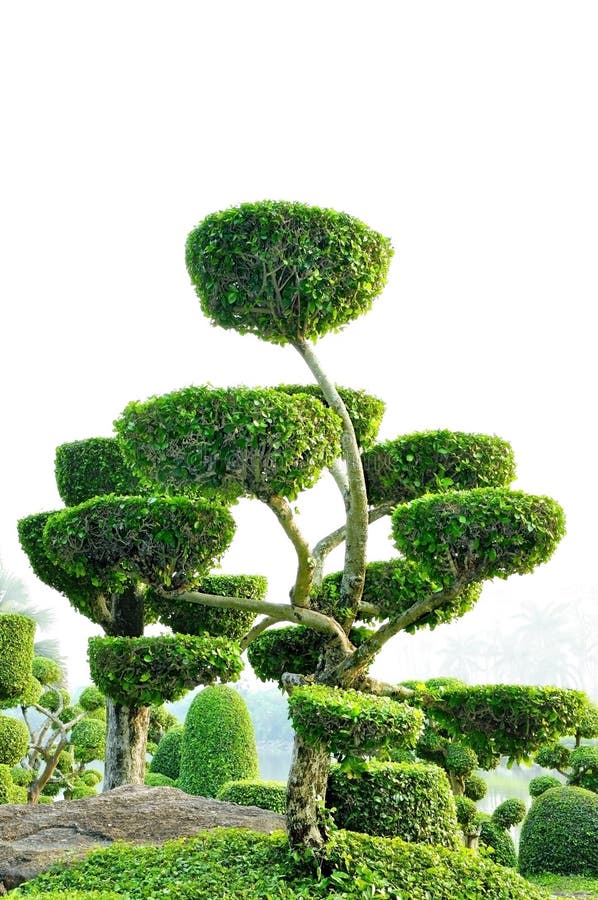 Topiary work