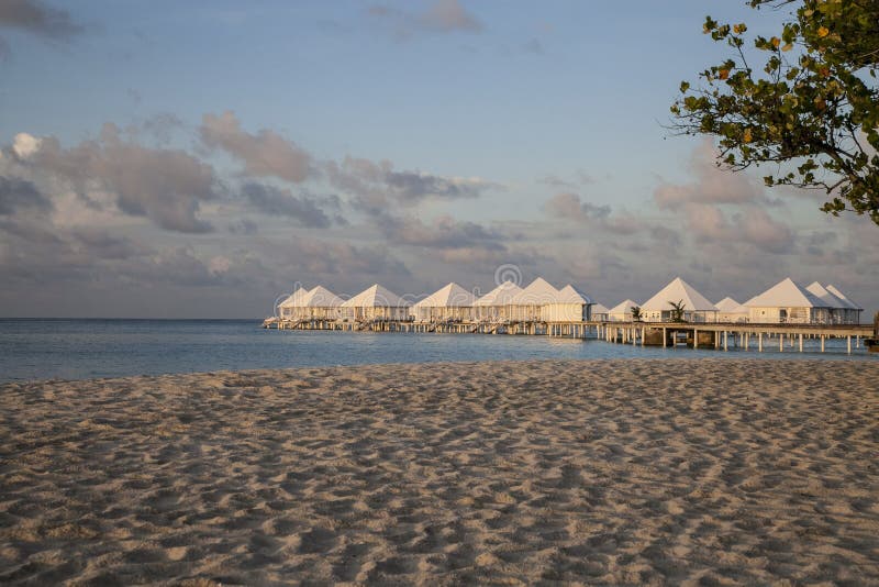 Topical beach landscape