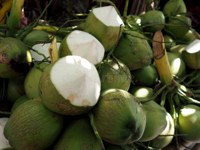 Fresh Topical Coconuts At Market Thailand Stock Photo Image of