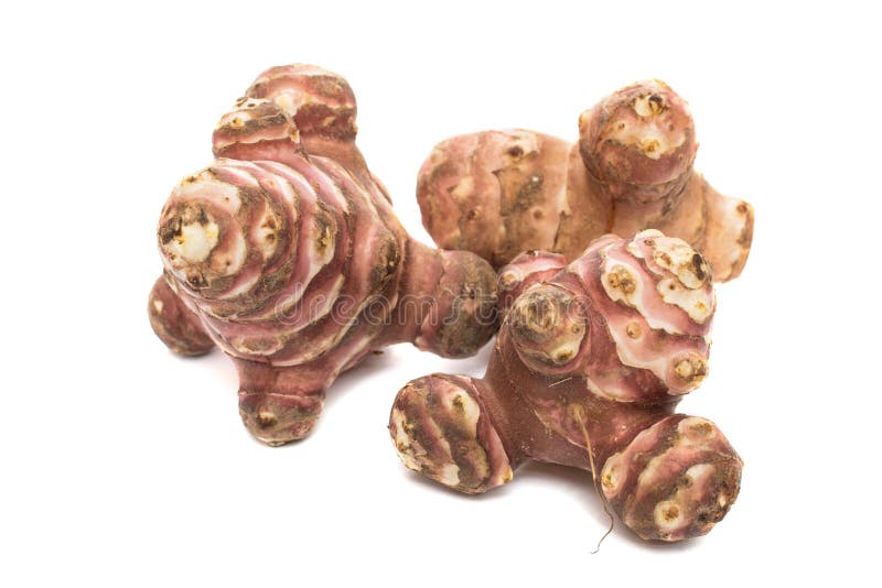 Topinambour 免版税库存照片