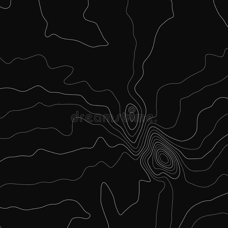 Topographic map lines background. Abstract vector illustration vector illustration Topographic map lines background. Abstract vector illustration vector illustration