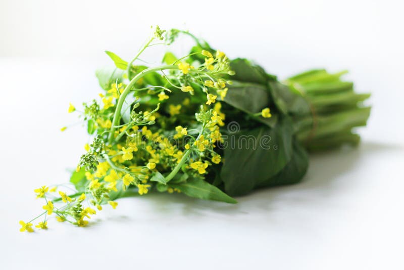 Tops of collard greens stock image. Image of dinner, snack 14882063