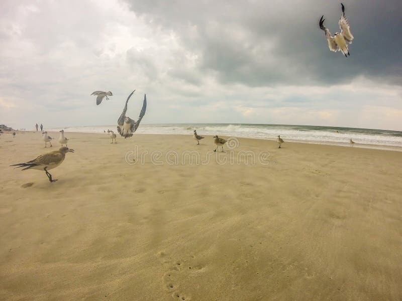 Topsail beach north carolina