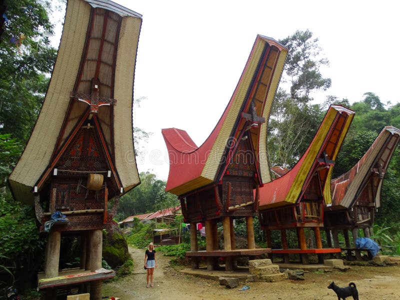 Toraja Village Celebes Sulawesi Indonesia Editorial 