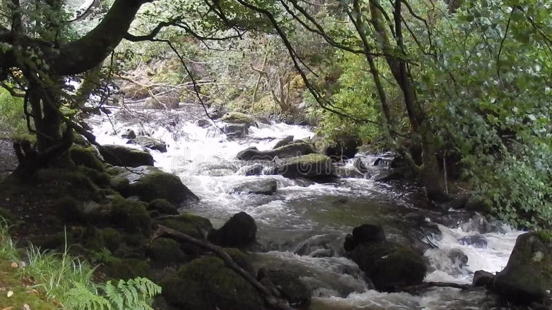 Torc Falls Killarney National Park Ireland Stock Footage Video