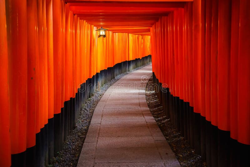 Torii portar i Inari förvarar, Kyoto, Japan royaltyfria bilder Torii portar i Inari förvarar, Kyoto, Japan royaltyfria bilder