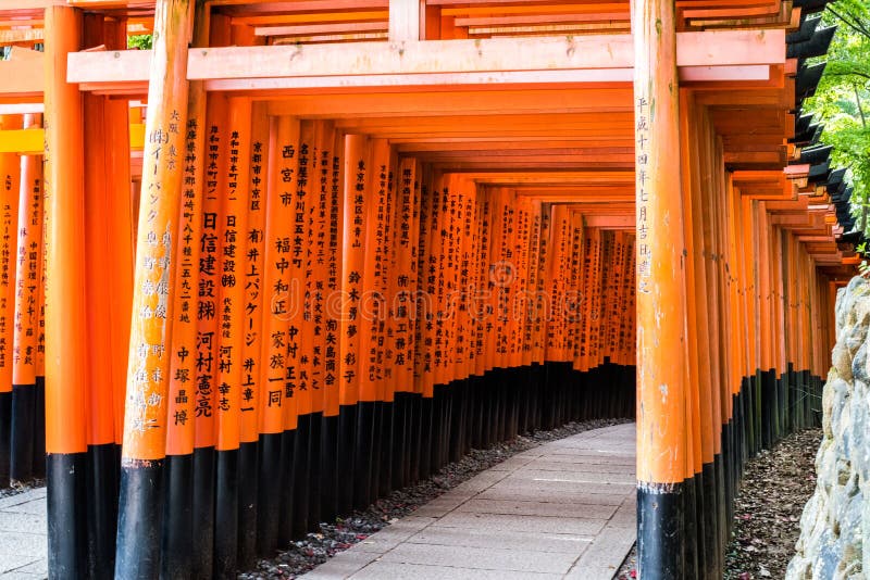 Torii väg 3 royaltyfri bild Torii väg 3 royaltyfri bild