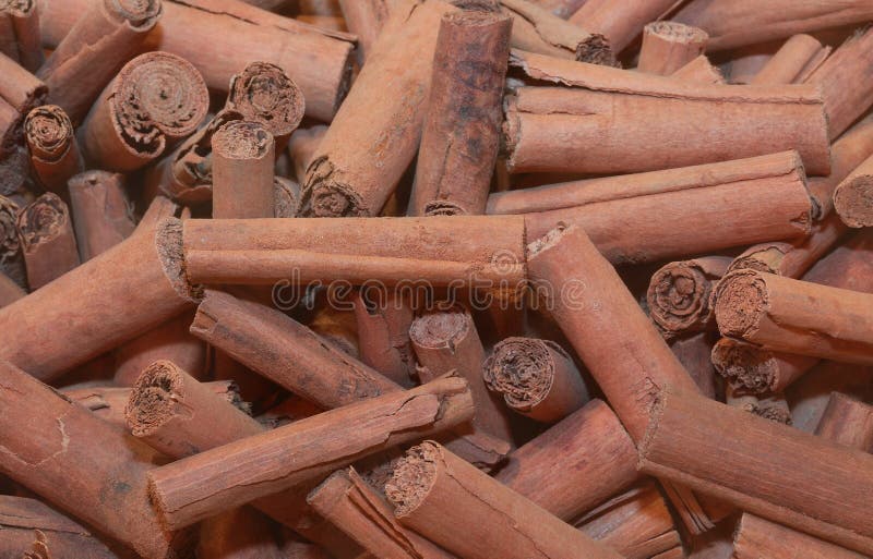 Dried bark strips of scented oriental cinnamon for Christmas decorations or to perfume rooms. Dried bark strips of scented oriental cinnamon for Christmas decorations or to perfume rooms