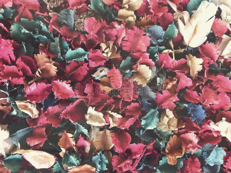 Torkat blommor och sidapotpurri royaltyfria bilder Torkat blommor och sidapotpurri royaltyfria bilder