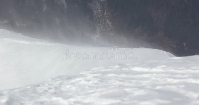 Tormenta de nieve a la deriva en venezolano