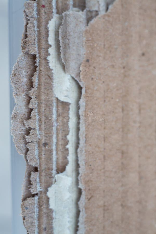 Torn brown corrugated Paper Box texture on white background, Close up shot, Package concept