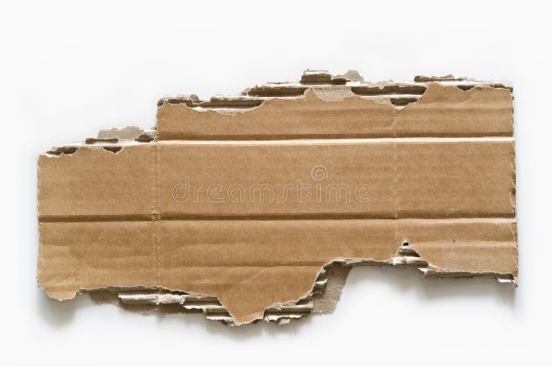 Ripped Cardboard on White Background Stock Photo Image of corrugated