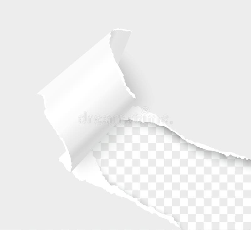 Torn Paper Corner Stock Illustrations 1 7 Torn Paper Corner Stock Illustrations Vectors Clipart Dreamstime Torn Paper Corner Stock Illustrations 1 7 Torn Paper Corner Stock Illustrations Vectors Clipart Dreamstime