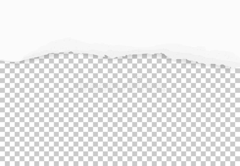 Torn Paper Edges For Background Ripped Paper Texture On Transparent Background Stock Vector Illustration Of Craft Checkered Torn Paper Edges For Background Ripped Paper Texture On Transparent Background Stock Vector Illustration Of Craft Checkered