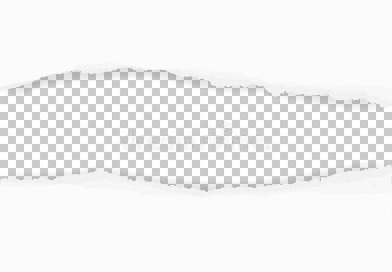 Torn Paper Edges For Background Ripped Paper Texture On Transparent Background Stock Vector Illustration Of Checkered Blank Torn Paper Edges For Background Ripped Paper Texture On Transparent Background Stock Vector Illustration Of Checkered Blank