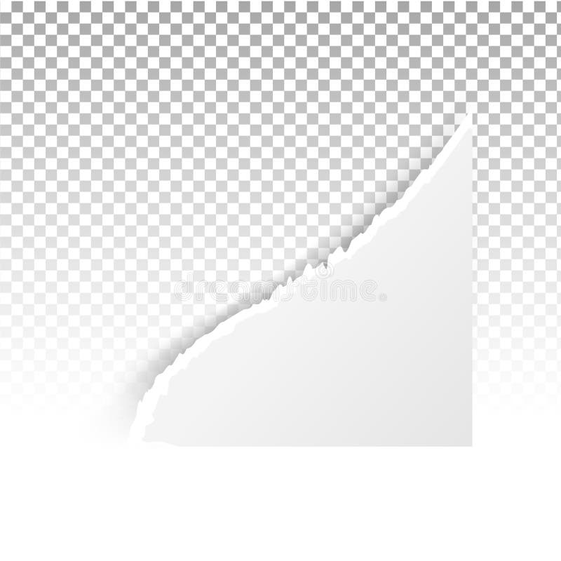 Torn Paper Holes. Hole in the Sheet of Paper on a Transparent Background for  and Print