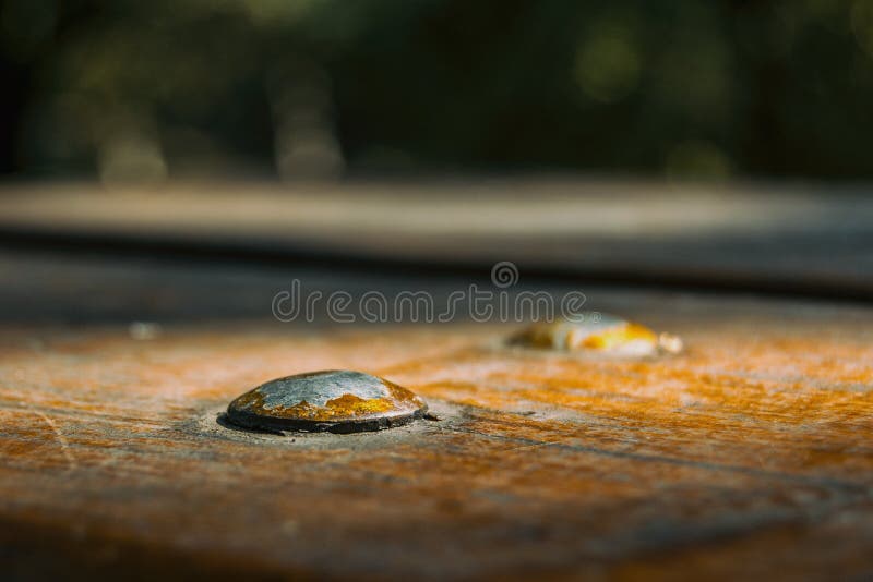 tornillo en el pedazo de madera foto de archivo tornillo en el pedazo de madera foto de archivo