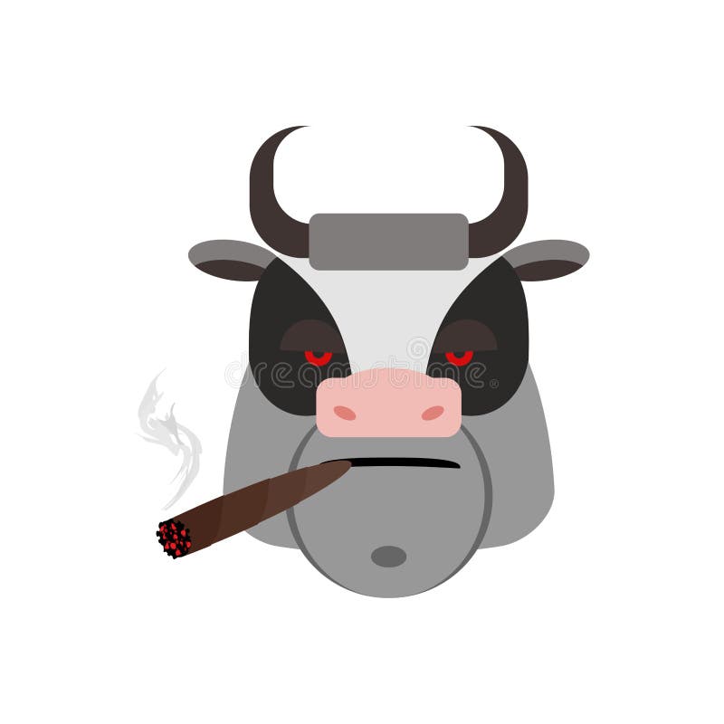 Toro enojado con el cigarro Vaca feroz del bozal Animales del campo malvados libre illustration Toro enojado con el cigarro Vaca feroz del bozal Animales del campo malvados libre illustration