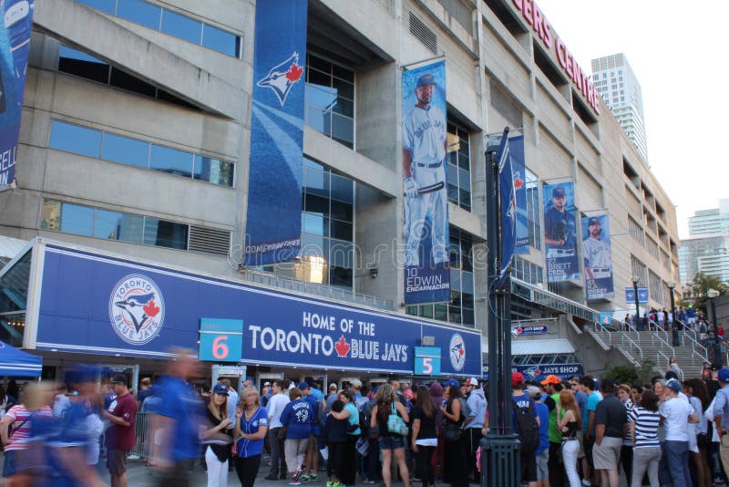 67 Blue Jays Shop Stock Photos, High-Res Pictures, and Images