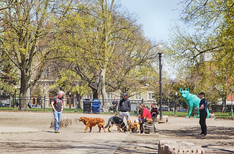 TORONTO, KANADA - 5. MAI 2019: Leute mit Hunden im Park des Hundes bei Allan Gardens, Toronto, Kanada stockfoto TORONTO, KANADA - 5. MAI 2019: Leute mit Hunden im Park des Hundes bei Allan Gardens, Toronto, Kanada stockfoto
