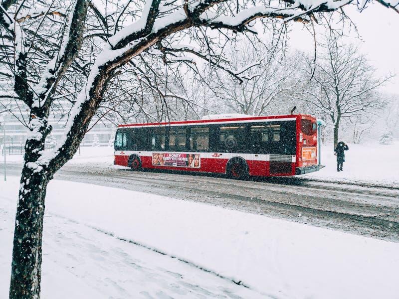 Toronto, Ontario, Canada - November 22, 2020: Toronto public transport TTC red bus during heavy winter snowstorm snowfall outdoor