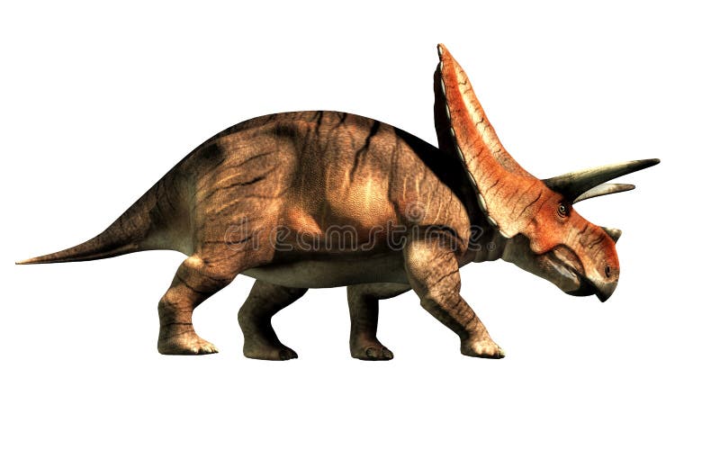 Torosaurus was ceratopsian dinosaur that was a frilled and horned, four legged animal. It lived during the cretaceous period. On a white background. 3D Rendering. Torosaurus was ceratopsian dinosaur that was a frilled and horned, four legged animal. It lived during the cretaceous period. On a white background. 3D Rendering