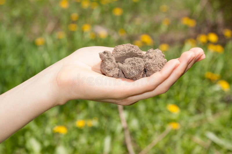 Dry soil in female hand. Dry soil in female hand