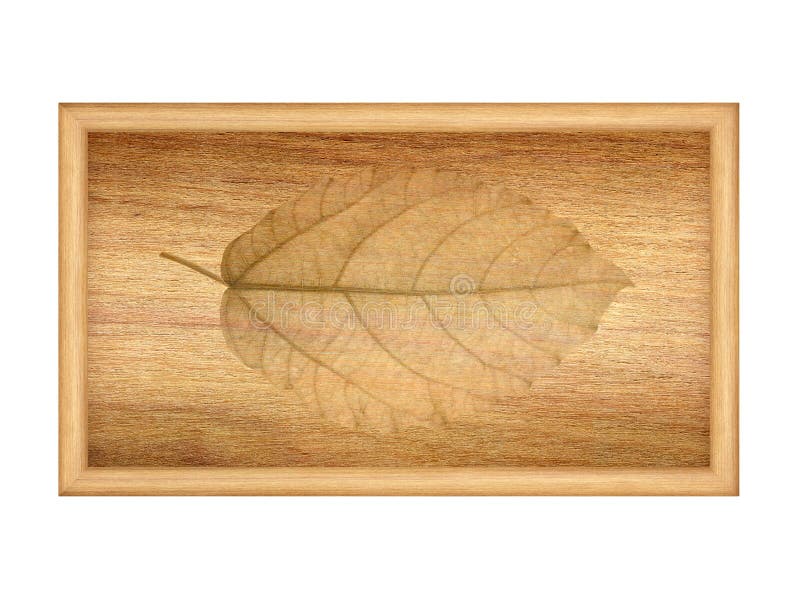 Torra sidor på wood textur fotografering för bildbyråer Torra sidor på wood textur fotografering för bildbyråer