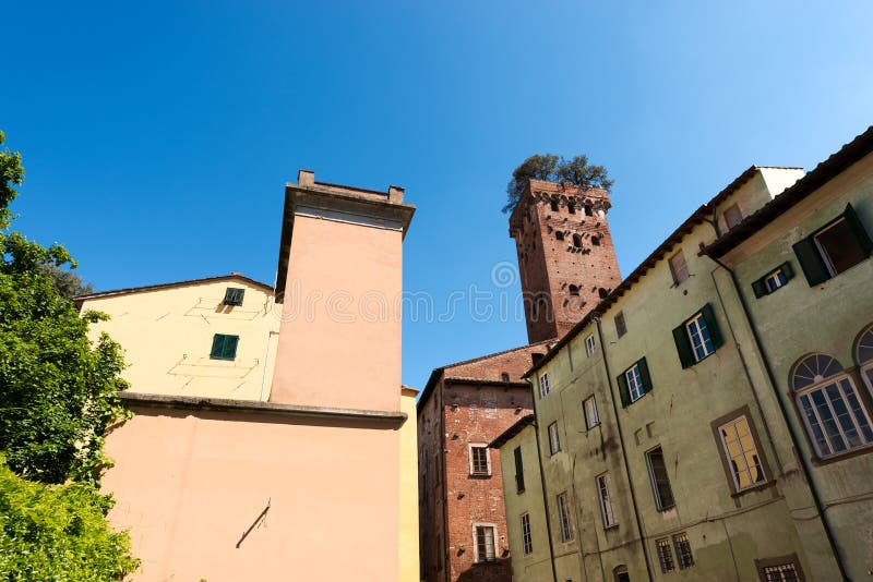 Torre de Guinigi - Lucca Toscânia Itália foto de stock royalty free Torre de Guinigi - Lucca Toscânia Itália foto de stock royalty free