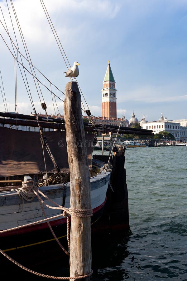 Torre di San Marco del gabbiano della barca, Venezia, Venezia, Italia, Italia