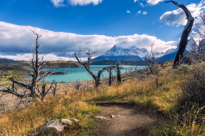 Torres del Paine national park, Patagonia, Chile, Pehoe lake royalty free stock image Torres del Paine national park, Patagonia, Chile, Pehoe lake royalty free stock image